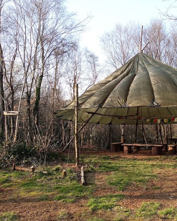Haven Wood Forest School Welcome